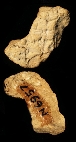 N6957
