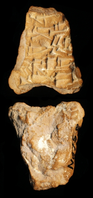 N6958