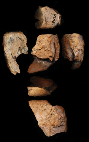 N6959