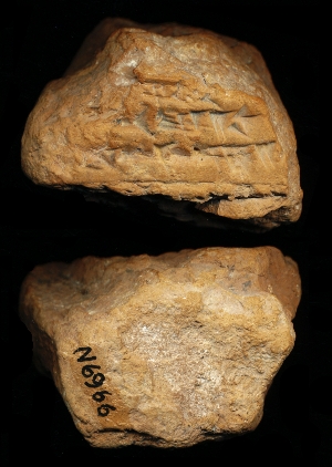 N6966