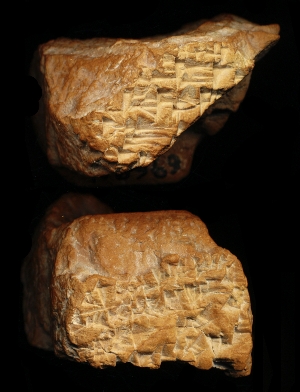 N6969