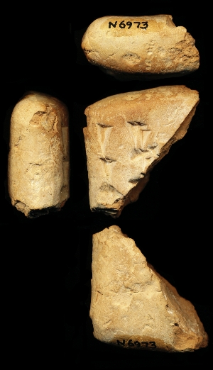 N6973