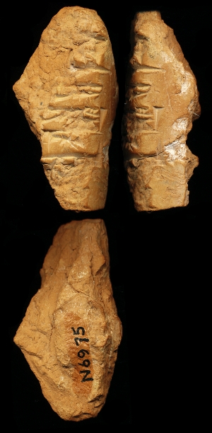 N6975