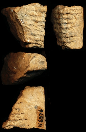 N6976