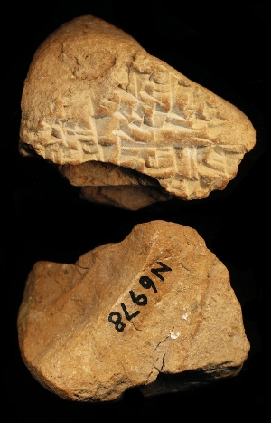 N6978