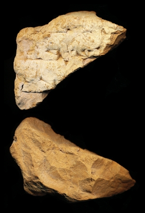 N6980