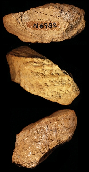 N6982