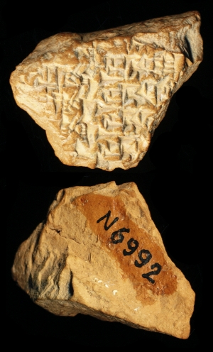 N6992