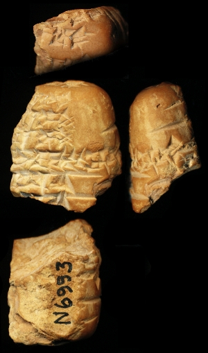 N6993