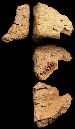 N6996