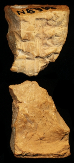 N6998