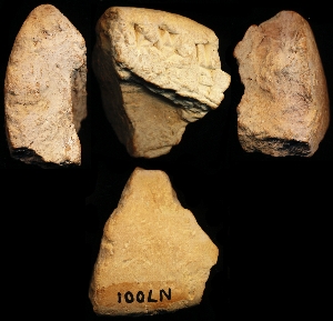 N7001