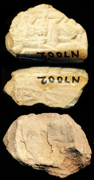 N7002