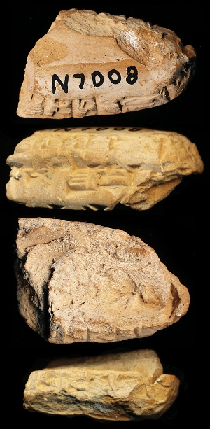 N7008