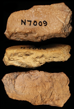 N7009
