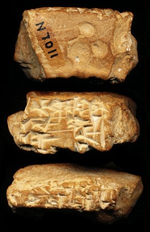 N7011