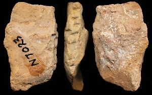 N7023