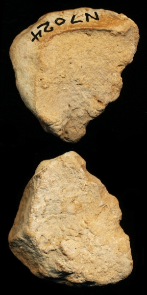 N7024