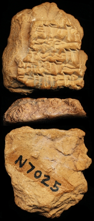 N7025