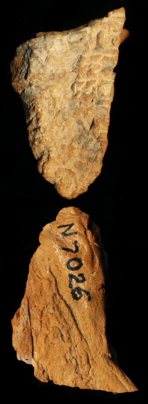 N7026