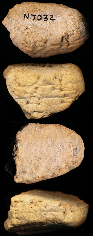 N7032