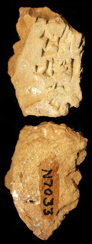 N7033