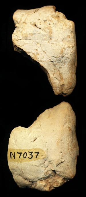 N7037