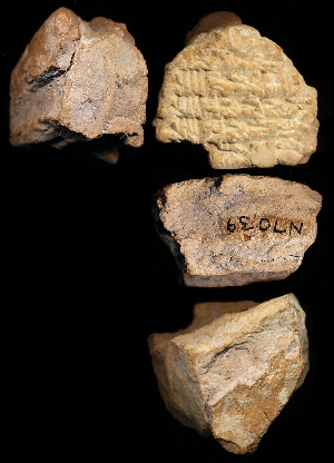 N7039