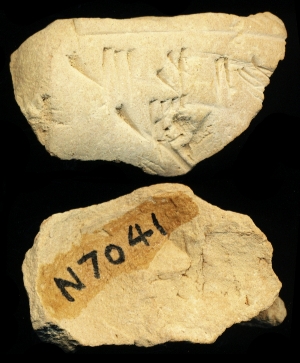 N7041