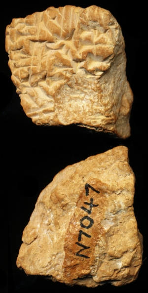 N7047