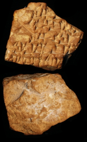N7048