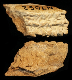 N7052