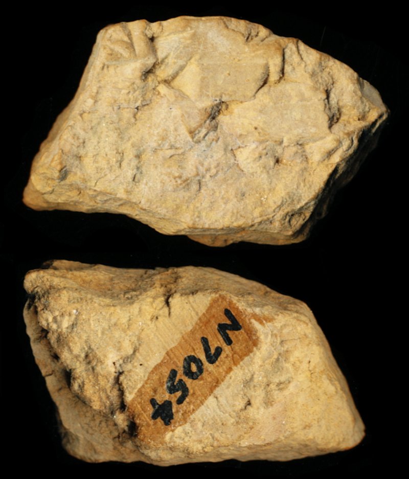 809938