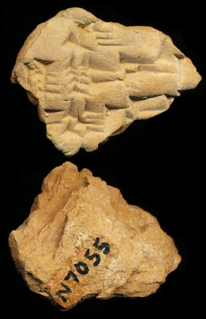 N7055