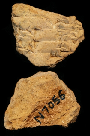 N7056