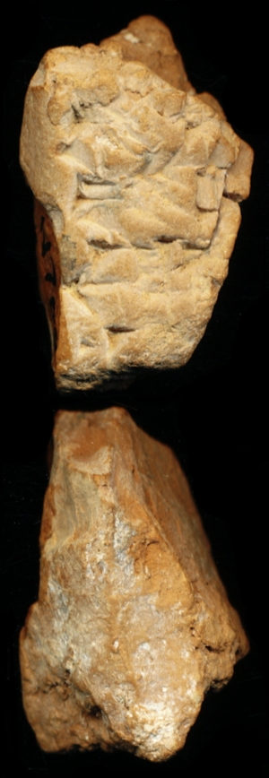 N7063