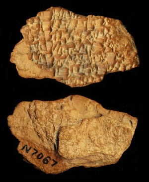 N7067