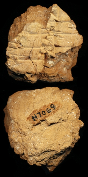 N7069