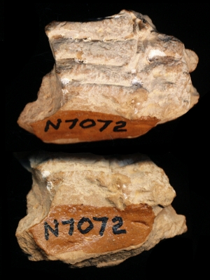N7072