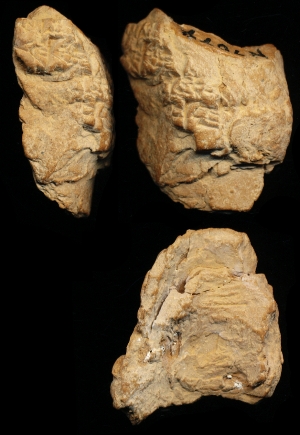 N7074