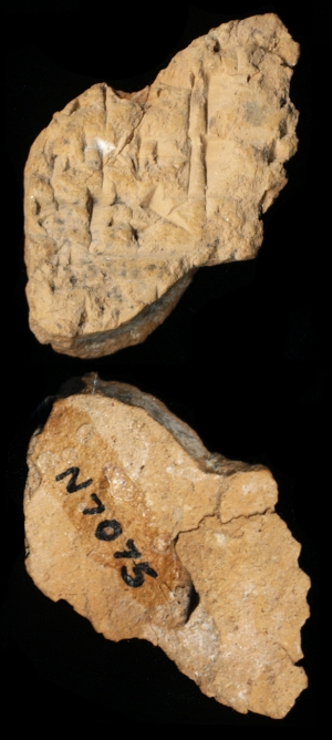 N7075