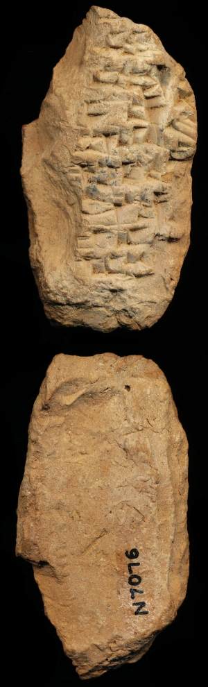 N7076