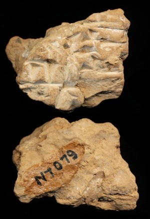 N7079