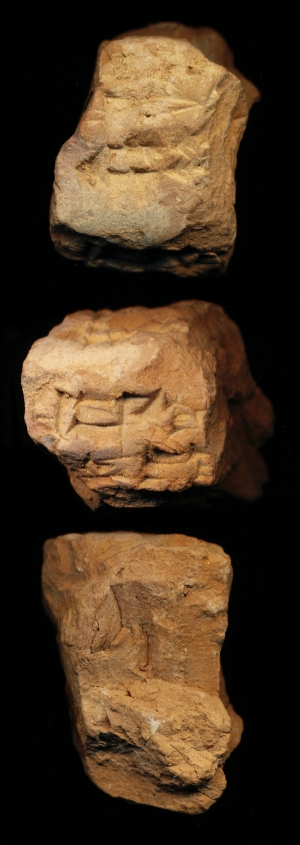 N7081
