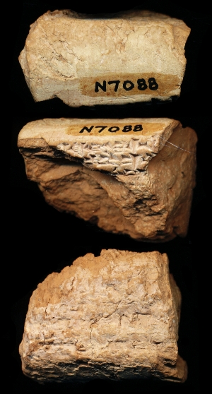 N7088