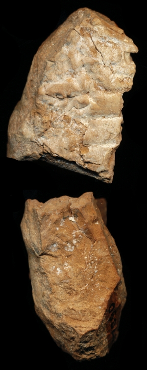 N7090
