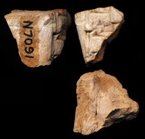 N7091