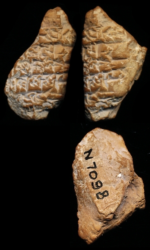 N7098