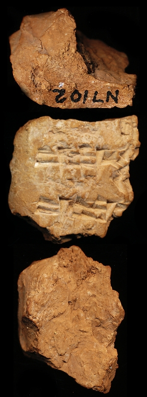 N7102