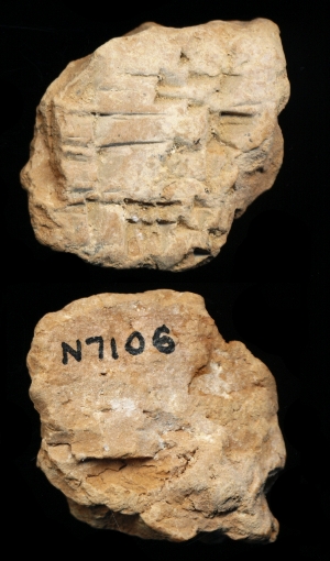 N7106